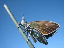 Essex Skipper Butterfly Sculpture, Colchester